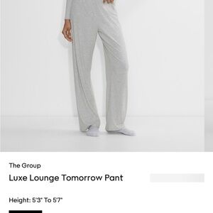 Aritzia Luxe lounge tomorrow pant LOT